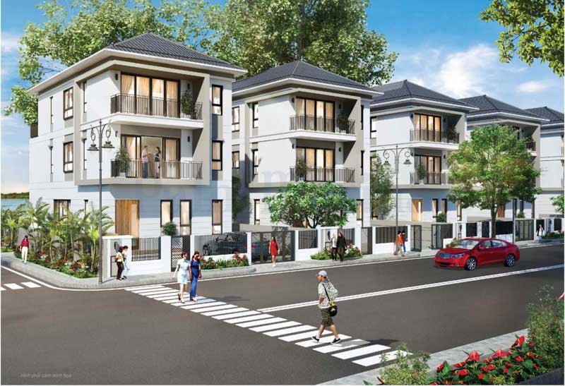 mau biet thu don lap palm marina
